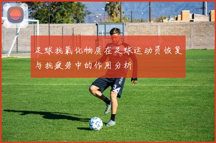 足球抗氧化物质在足球运动员恢复与抗疲劳中的作用分析